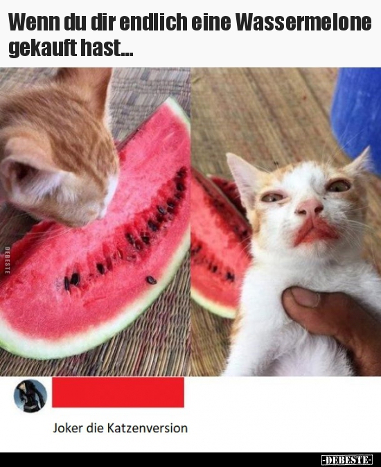 Wenn du dir endlich eine Wassermelone gekauft hast... - Lustige Bilder | DEBESTE.de