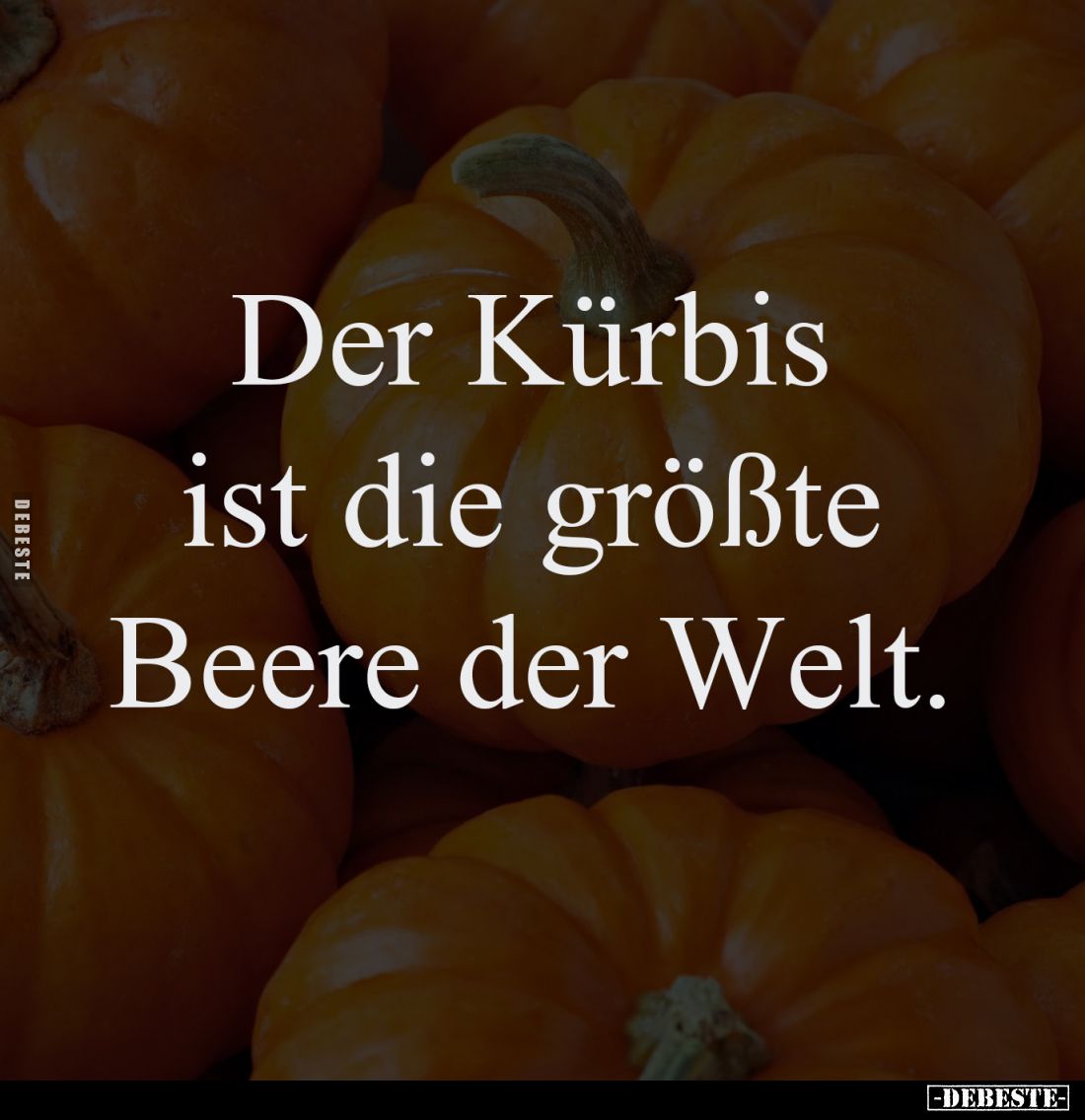 Der Kürbis ist die größte Beere der Welt.