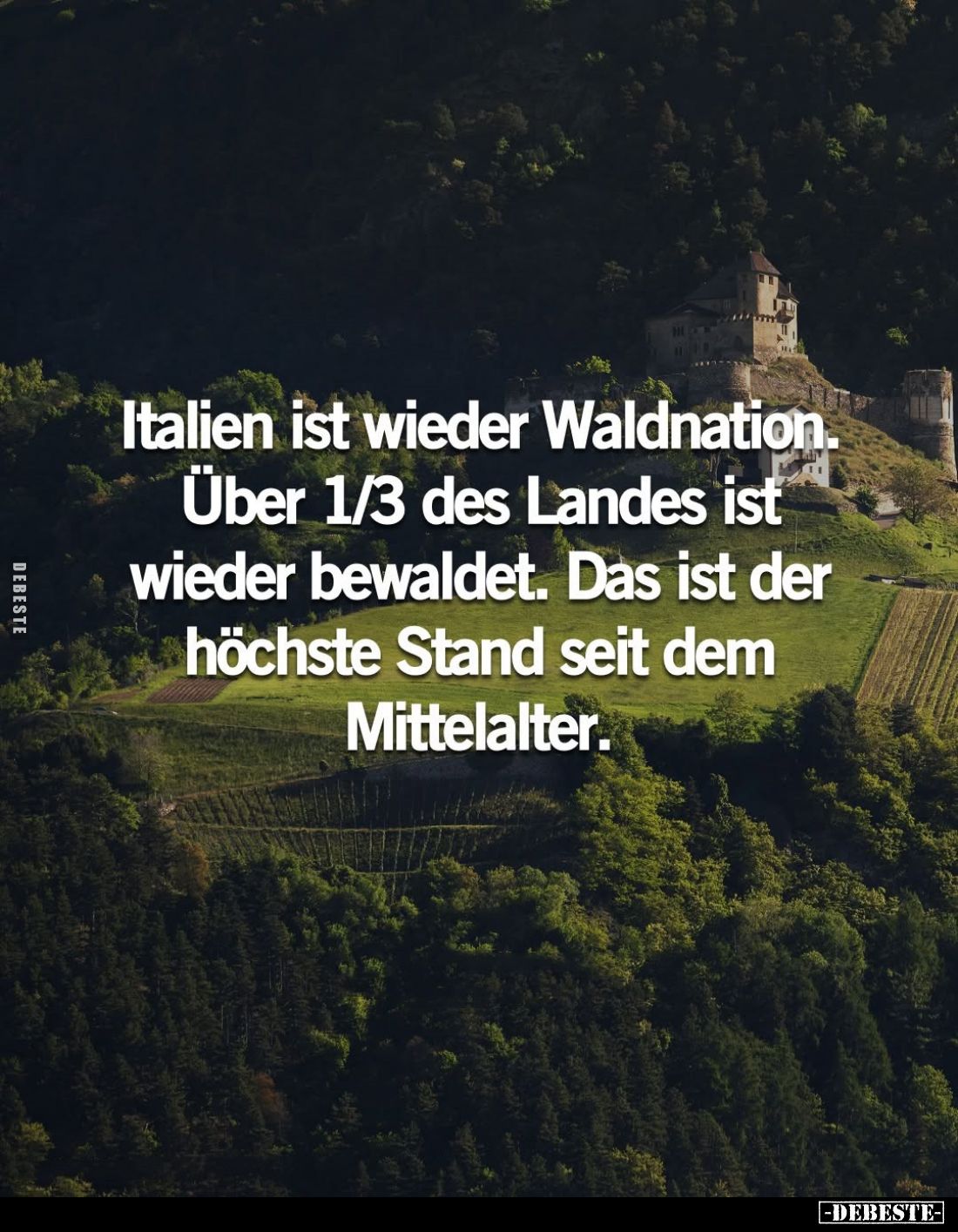 Italien ist wieder Waldnation. Über 1/3 des Landes ist wieder bewaldet. Das ist der höchste Stand seit dem Mittelalter.