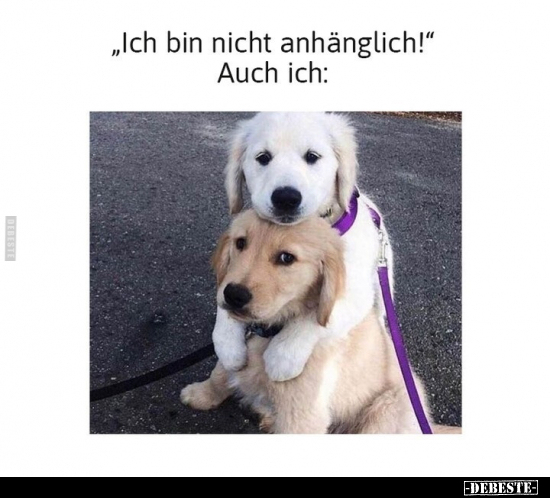 "Ich bin nicht anhänglich!" 
Auch ich..
