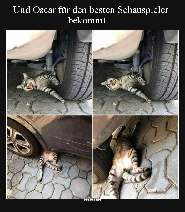 Und Oscar für den besten Schauspieler bekommt...