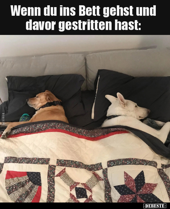 Wenn du ins Bett gehst und davor gestritten hast.. - Lustige Bilder | DEBESTE.de