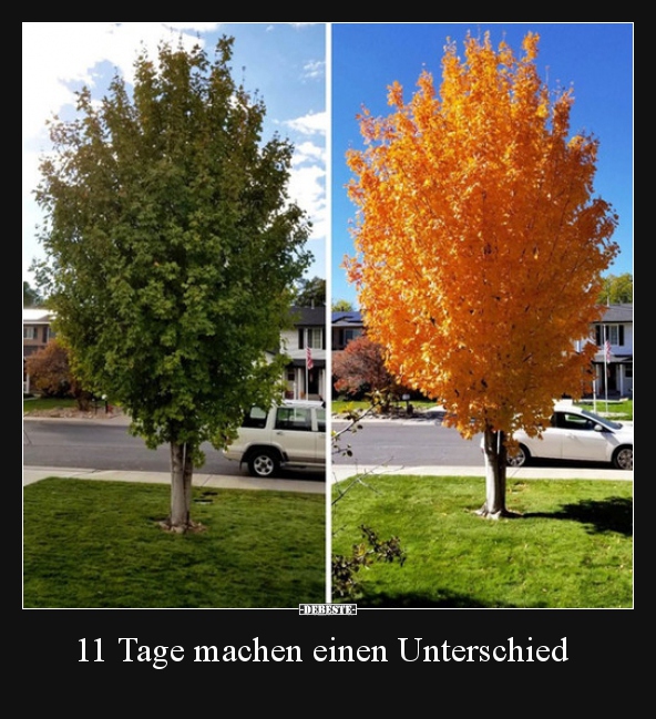 11 Tage machen einen Unterschied..