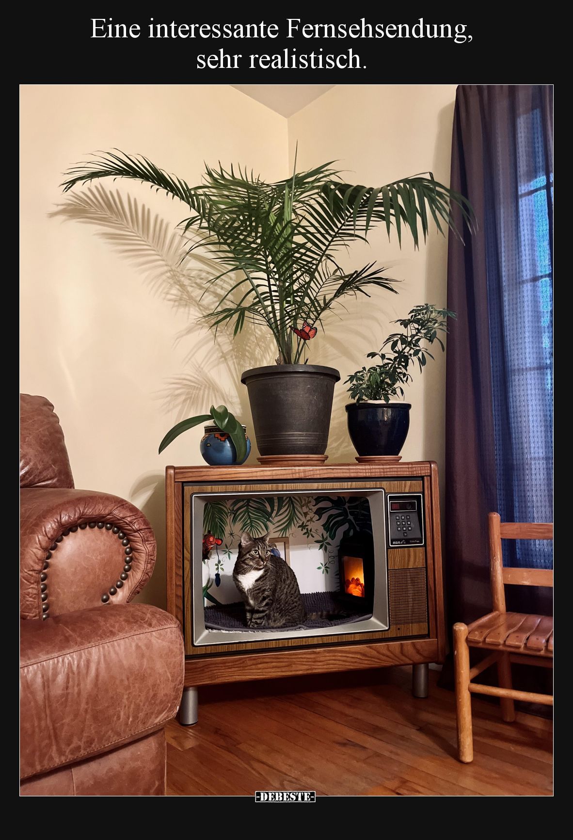Eine interessante Fernsehsendung, sehr realistisch.