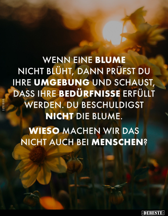 Wenn eine Blume nicht blüht, dann prüfst du ihre Umgebung.. - Lustige Bilder | DEBESTE.de