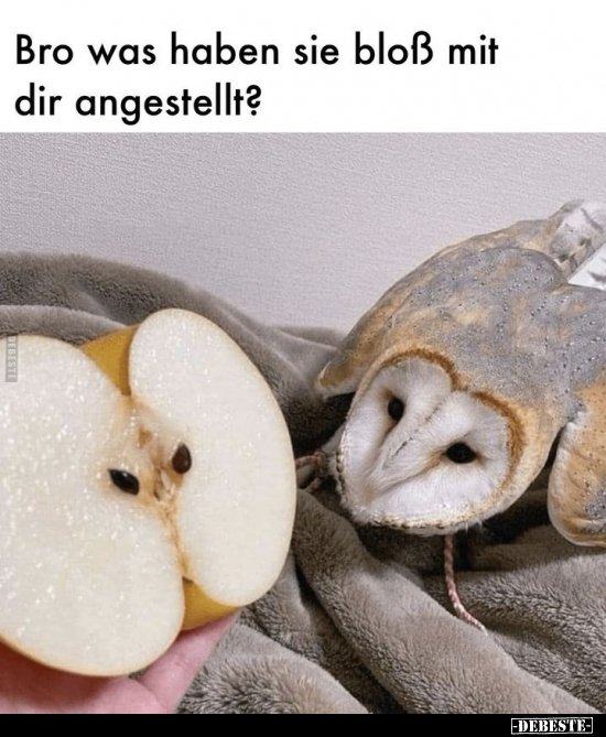 Bro was haben sie bloß mit dir angestellt?