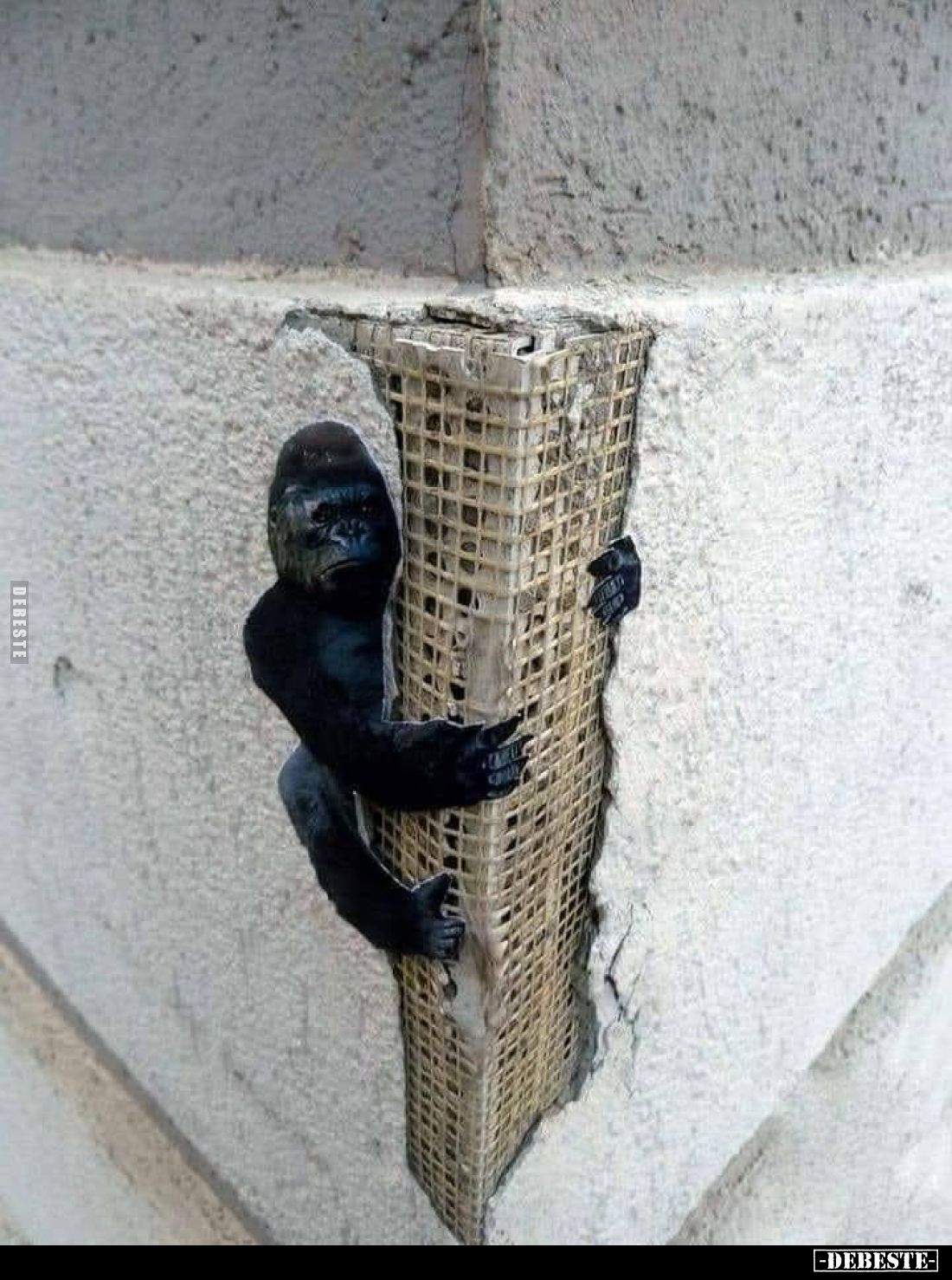  - Lustige Bilder | DEBESTE.de