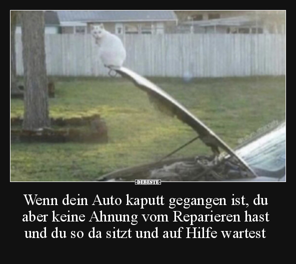 Wenn dein Auto kaputt gegangen ist, du aber keine Ahnung.. - Lustige Bilder | DEBESTE.de