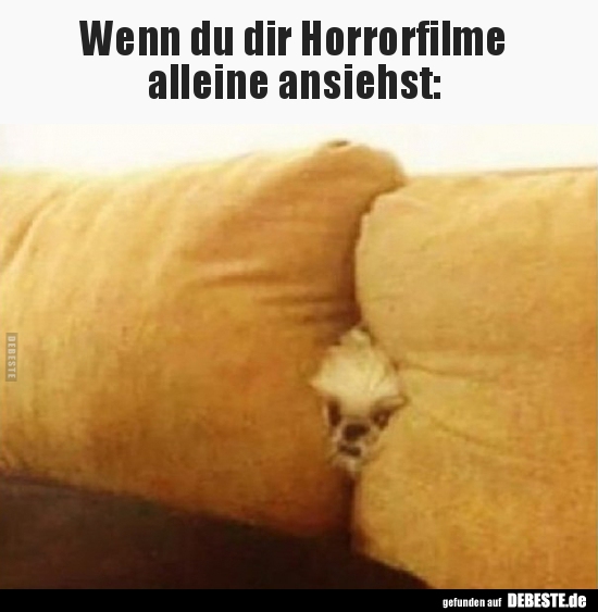Wenn du dir Horrorfilme alleine ansiehst..