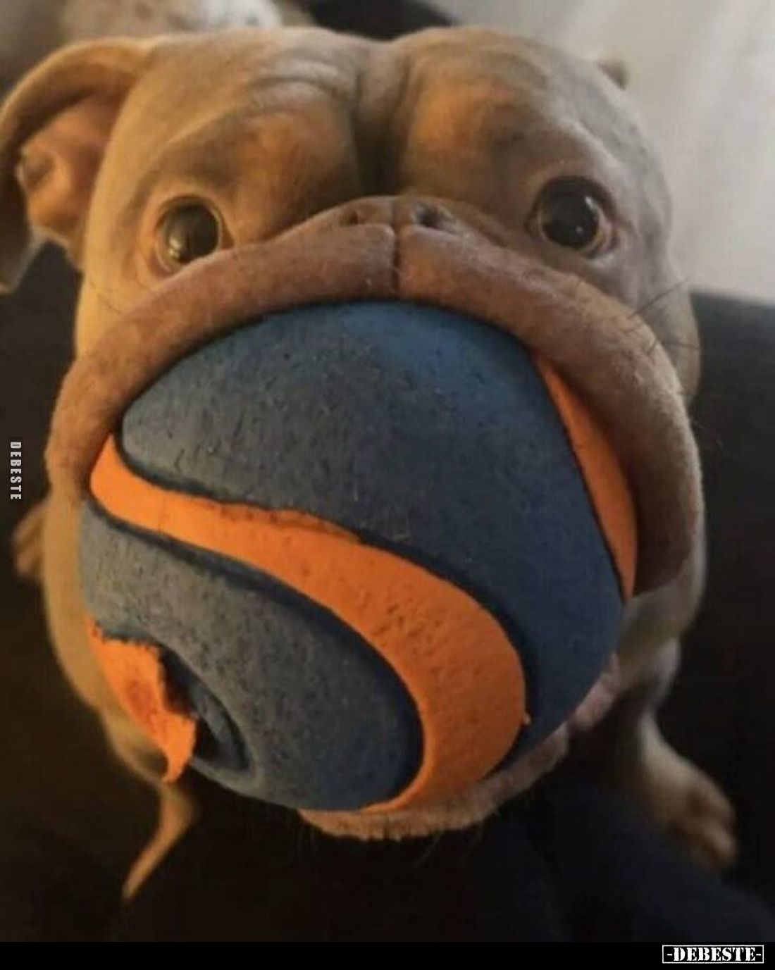 ☺