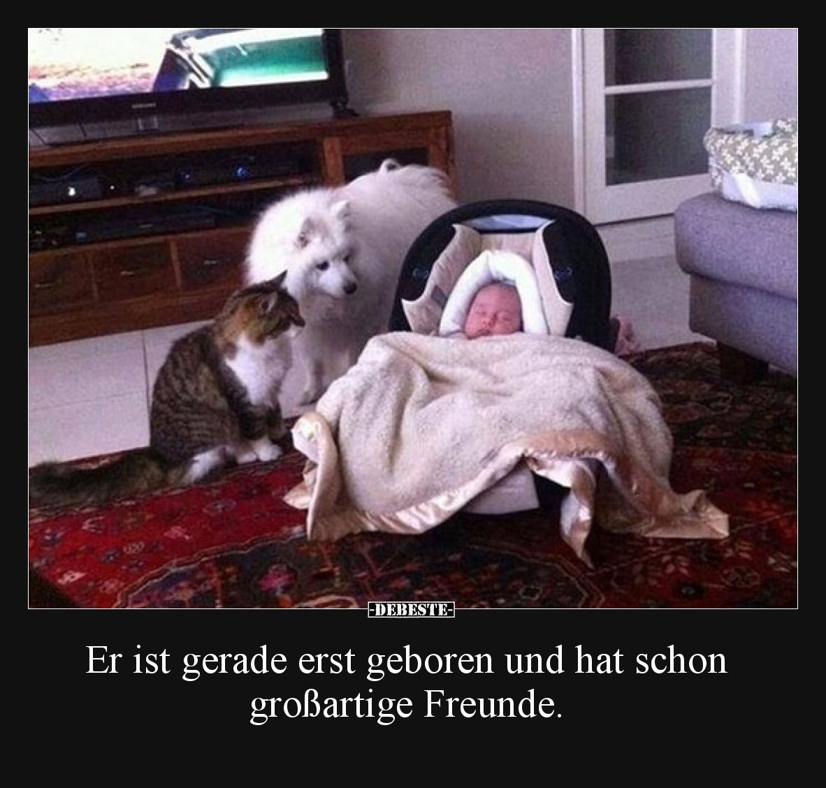 Er ist gerade erst geboren und hat schon großartige Freunde.