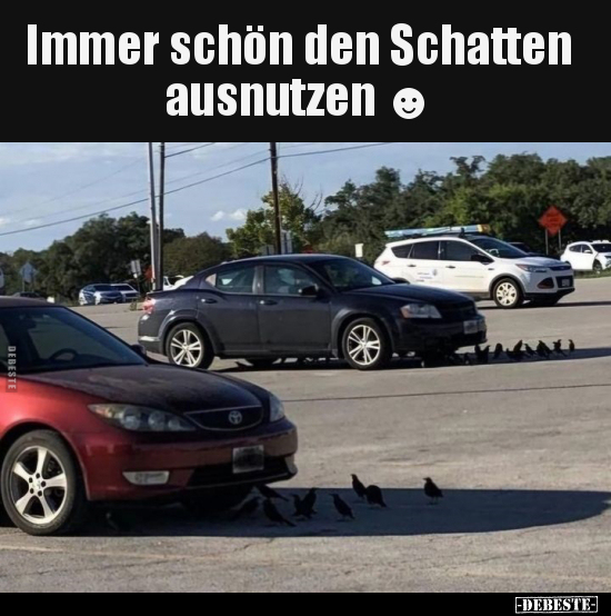 Immer schön den Schatten ausnutzen.. - Lustige Bilder | DEBESTE.de