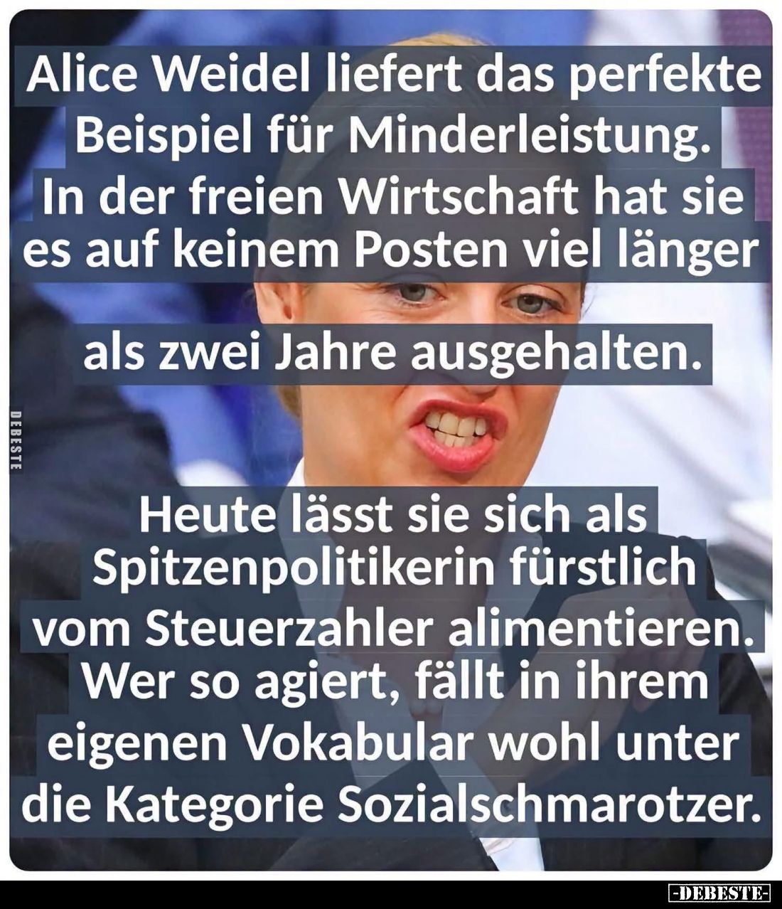 Alice Weidel liefert das perfekte Beispiel für Minderleistung. In der freien Wirtschaft hat sie es auf keinem Posten viel län...