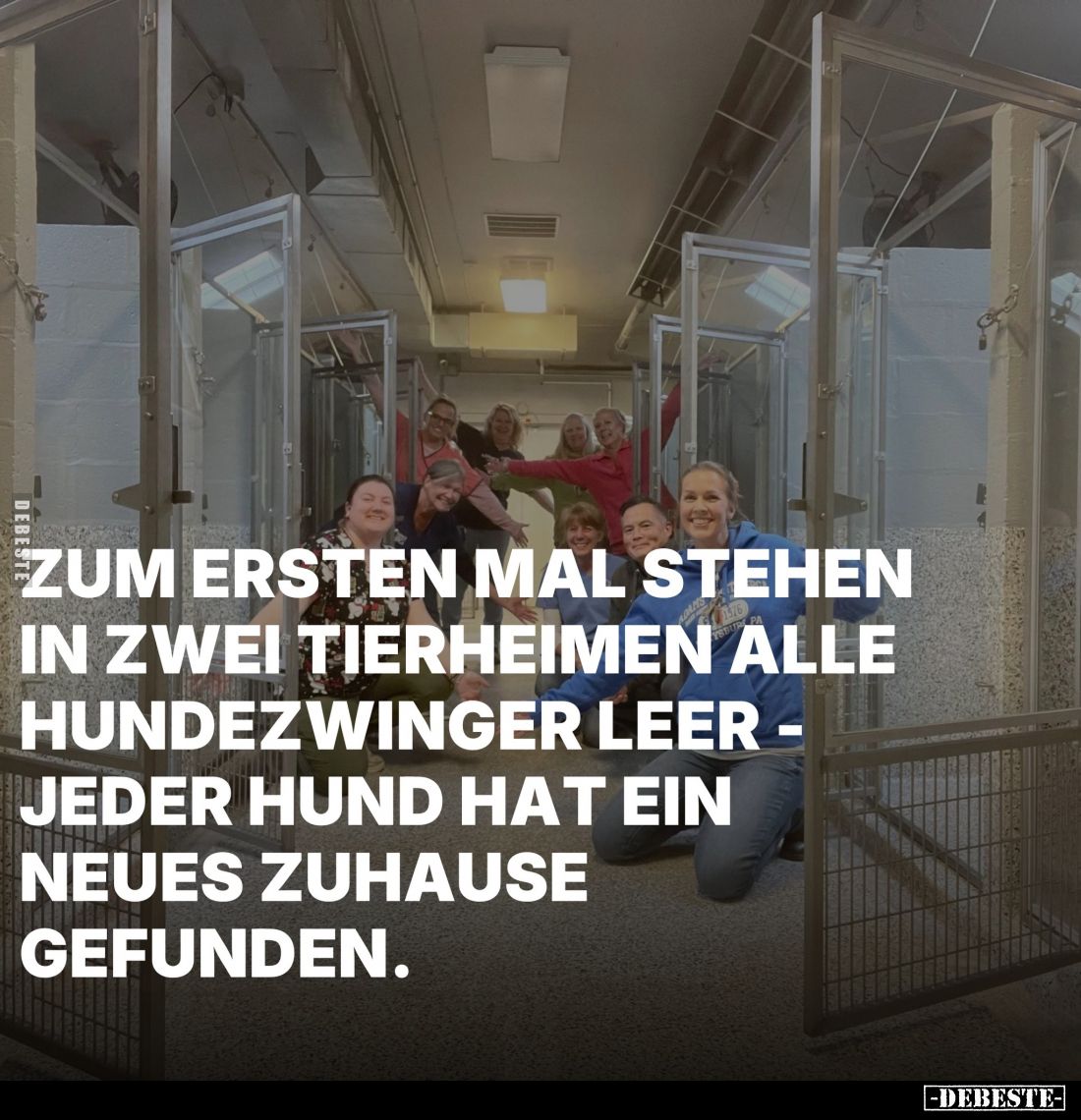 Zum ersten mal stehen in zwei Tierheimen... - Lustige Bilder | DEBESTE.de