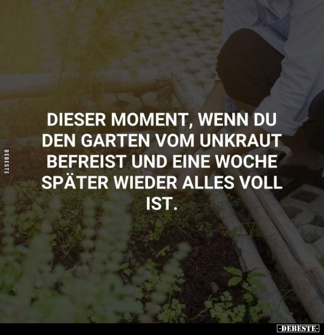 Dieser Moment, wenn du den Garten vom Unkraut befreist und eine Woche später wieder alles voll ist.