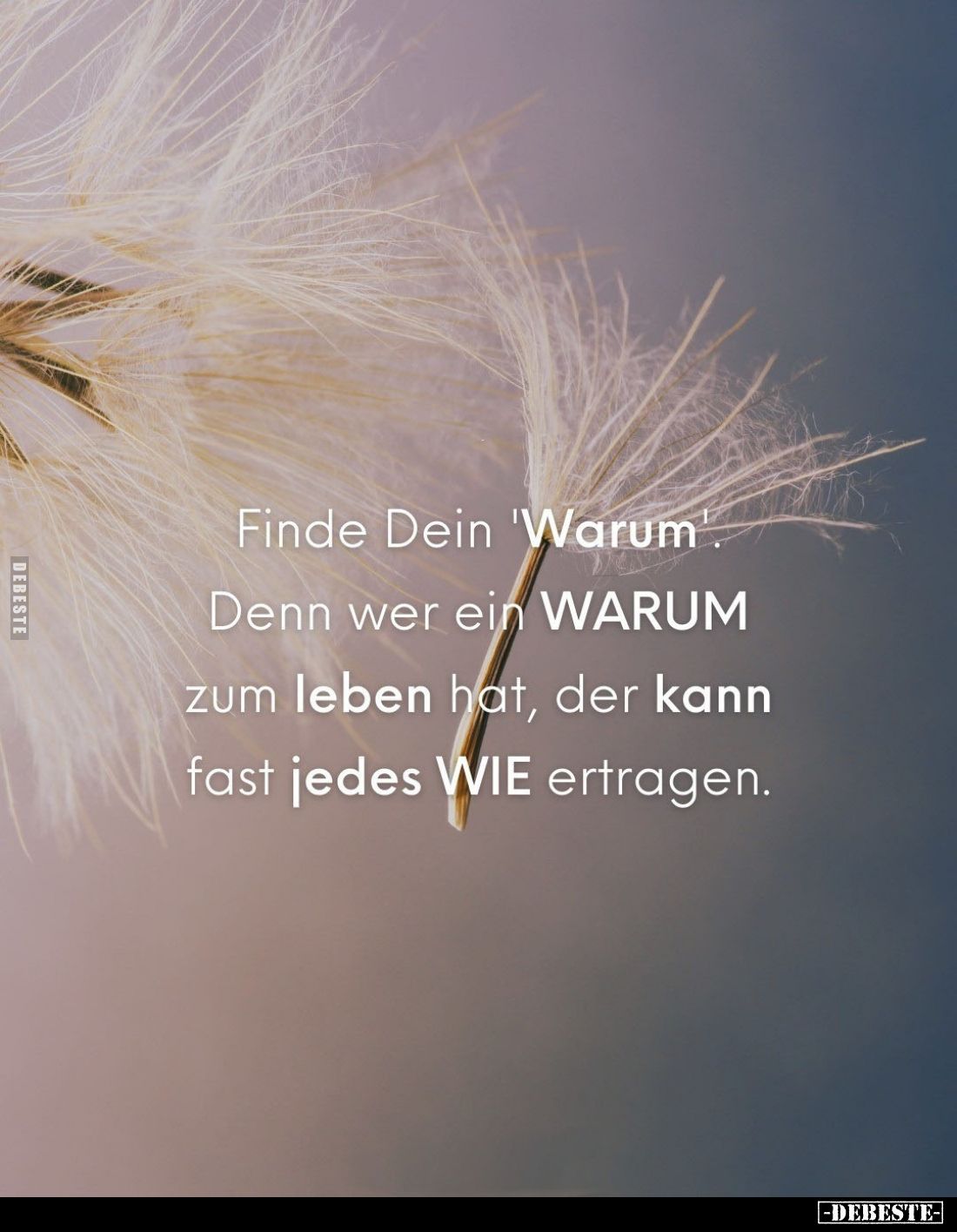 Finde Dein 'Warum'.
Denn wer ein WARUM zum leben hat, der kann fast jedes WIE ertragen.
