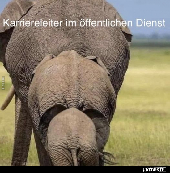 Karriereleiter im öffentlichen Dienst.. - Lustige Bilder | DEBESTE.de