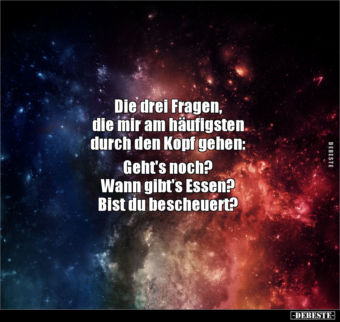 Die drei Fragen,
die mir am häufigsten
durch den Kopf gehen:

Geht's noch?
Wann gibt's Essen?
Bist du bescheuert?