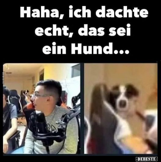 Haha, ich dachte echt, das sei ein Hund... - Lustige Bilder | DEBESTE.de