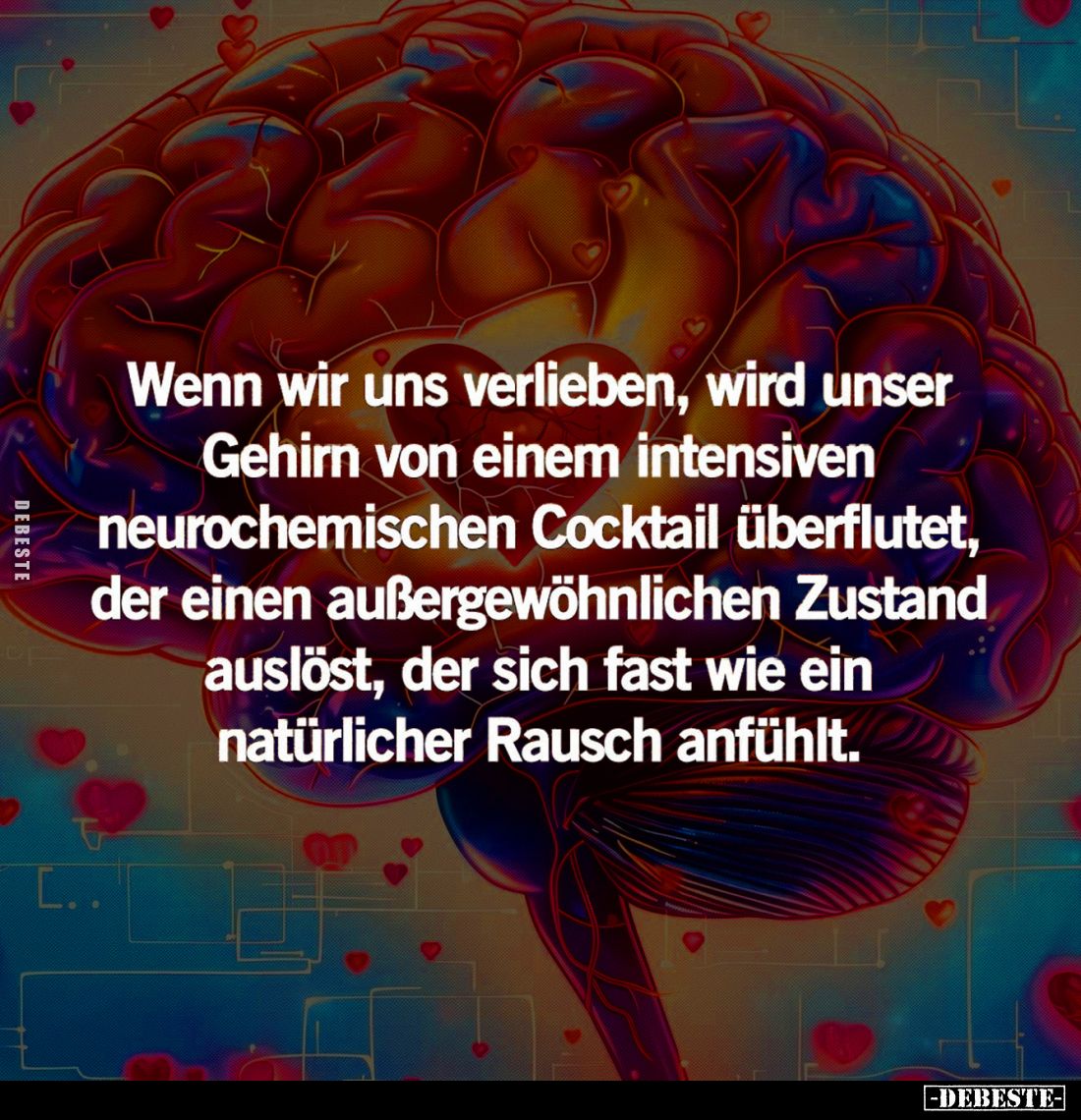 Wenn wir uns verlieben, wird unser Gehirn.. - Lustige Bilder | DEBESTE.de