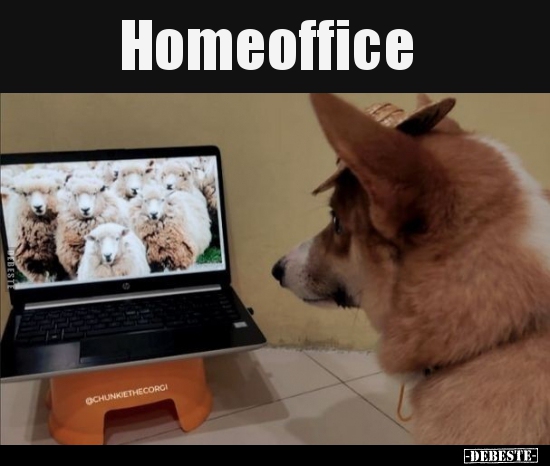 Homeoffice.. - Lustige Bilder | DEBESTE.de