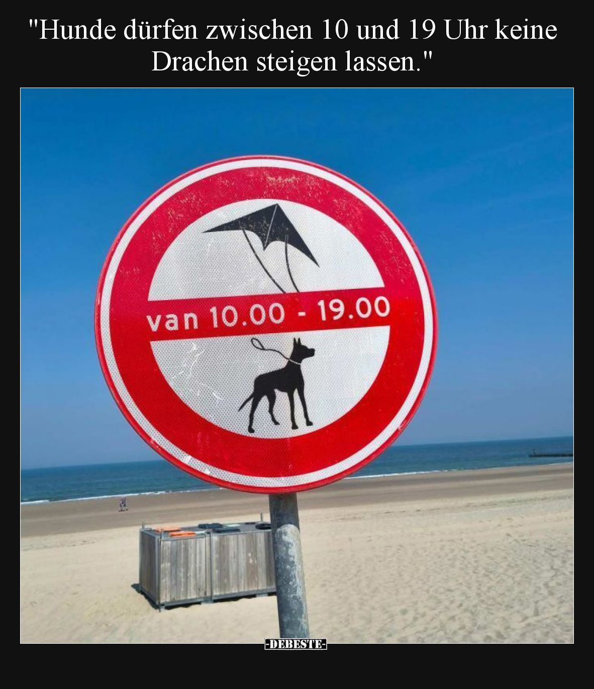 Hunde dürfen zwischen 10 und 19 Uhr keine Drachen steigen lassen.