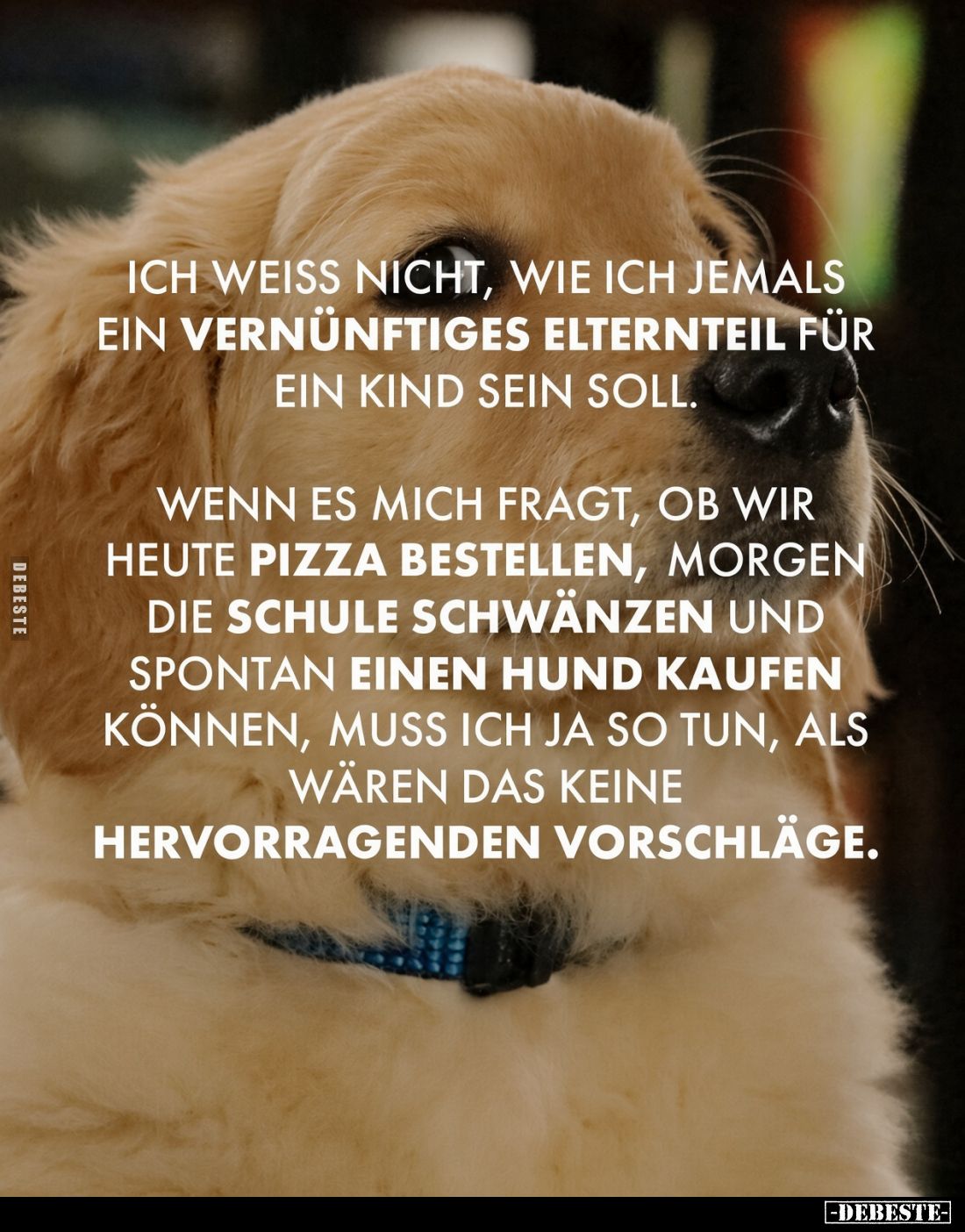 Ich weiss nicht, wie ich jemals ein vernünftiges Elternteil für ein Kind sein soll.
Wenn es mich fragt, ob wir heute Pizza b...