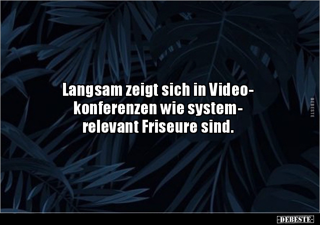 Langsam zeigt sich in Video- konferenzen wie.. - Lustige Bilder | DEBESTE.de