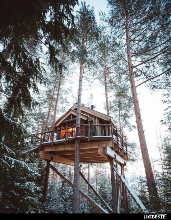  - Lustige Bilder | DEBESTE.de