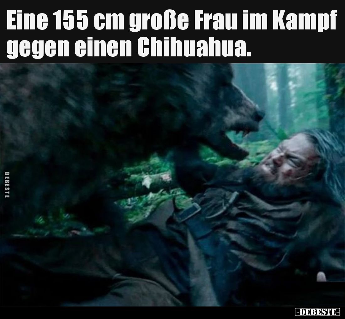 Eine 155 cm große Frau im Kampf gegen einen Chihuahua
