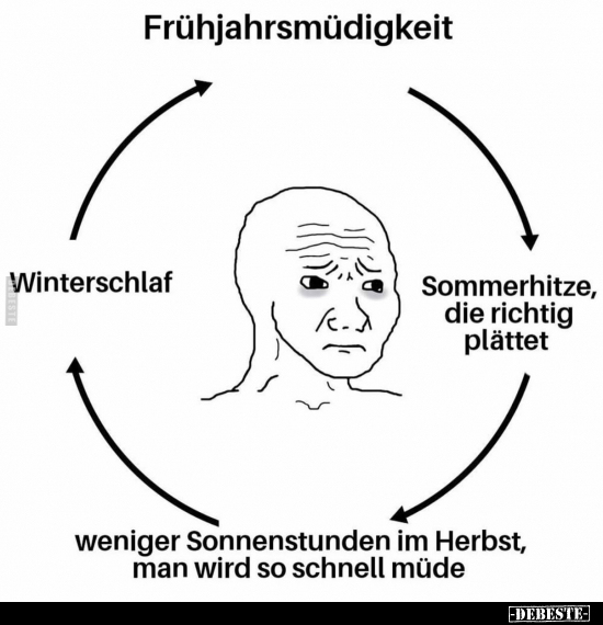 Frühjahrsmüdigkeit, Winterschlaf, Sommerhitze, Richtig, Herbst, Müde