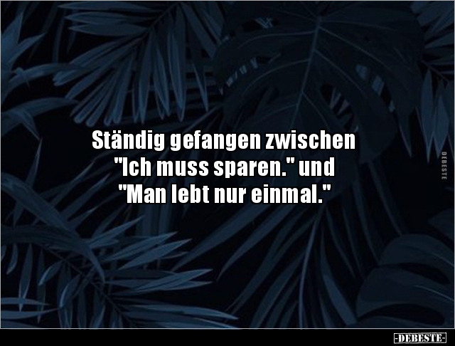 Ständig gefangen zwischen "Ich muss sparen." und "Man.. - Lustige Bilder | DEBESTE.de