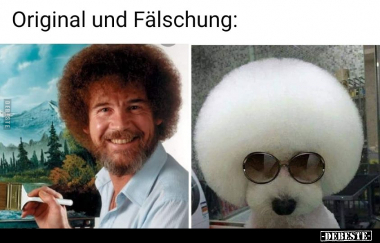 Original und Fälschung.. - Lustige Bilder | DEBESTE.de