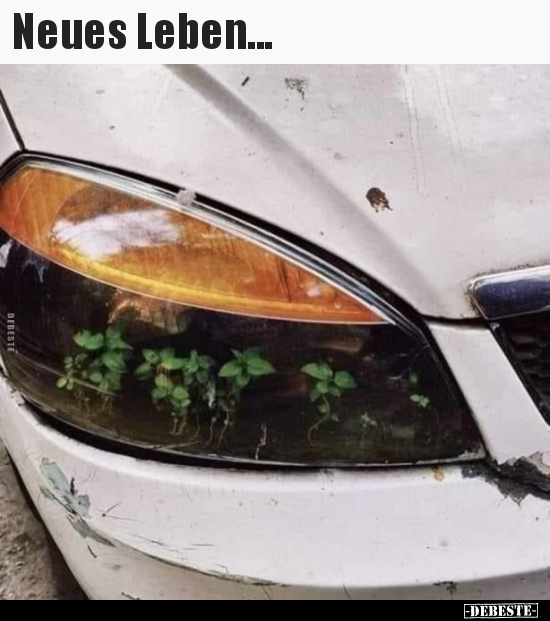 Neues Leben...