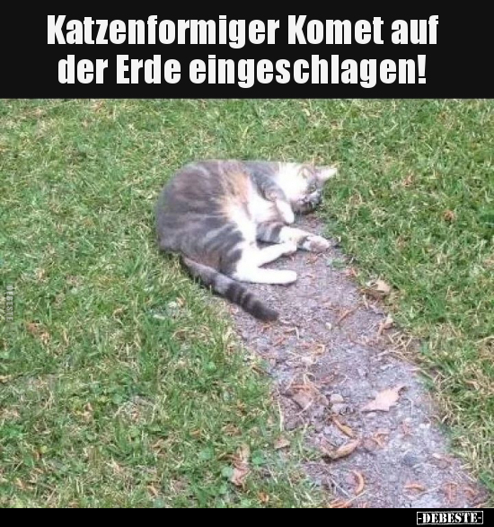 Katzenformiger komet auf der Erde eingeschlagen!.. - Lustige Bilder | DEBESTE.de