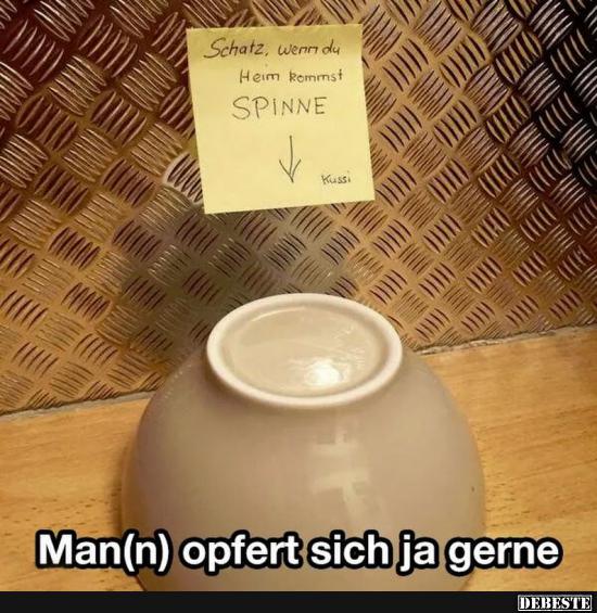 Schatz, wenn du Heim kommst Spinne.. - Lustige Bilder | DEBESTE.de