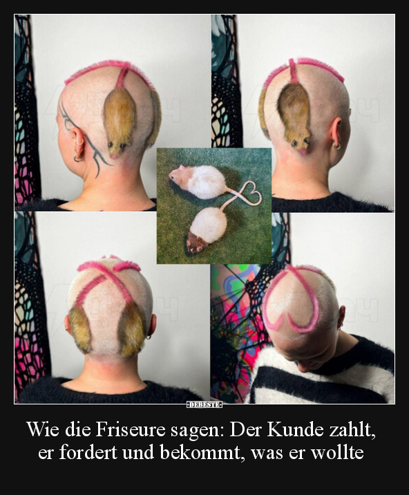 Wie die Friseure sagen: Der Kunde zahlt, er fordert und.. - Lustige Bilder | DEBESTE.de