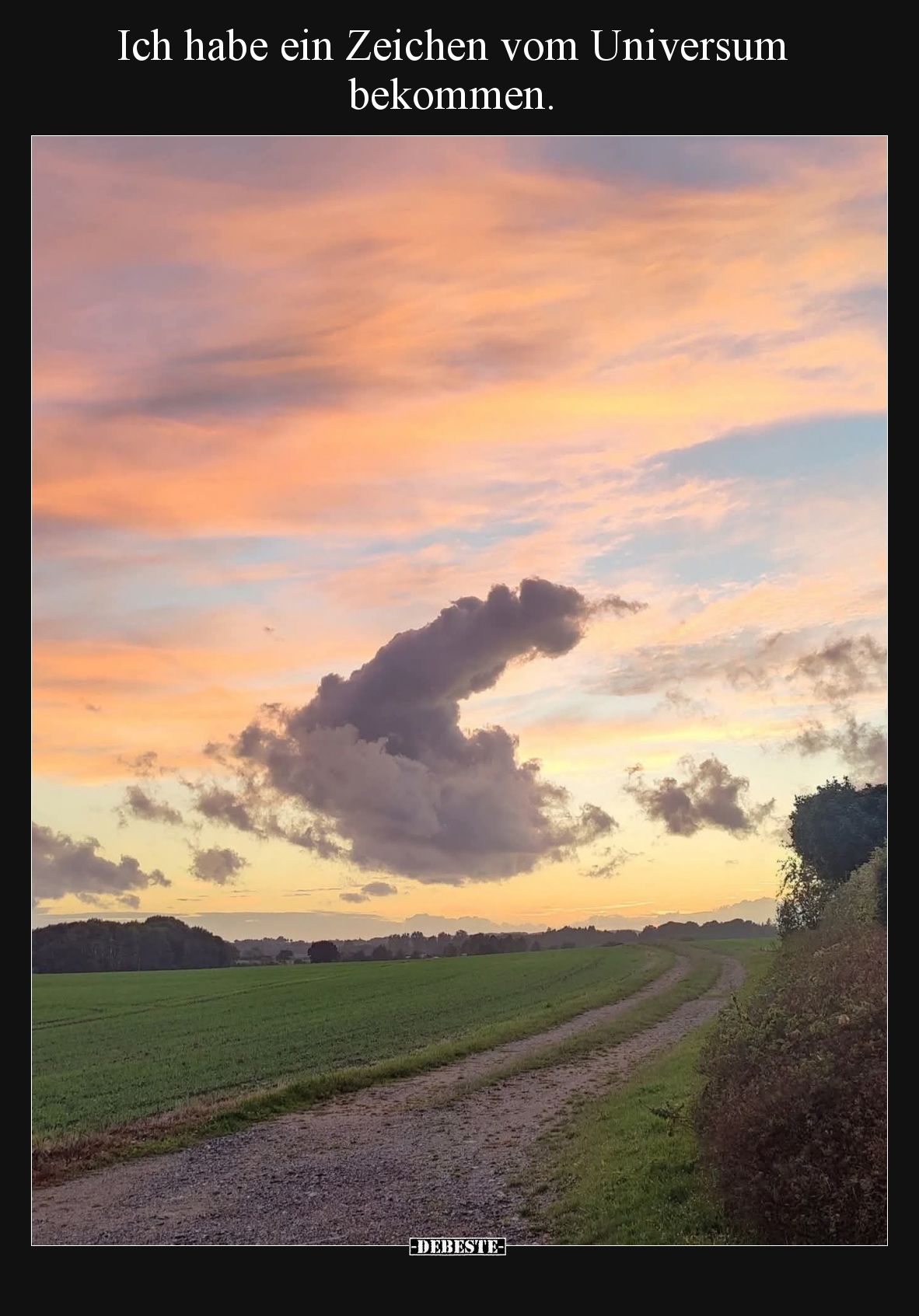 Ich habe ein Zeichen vom Universum bekommen.