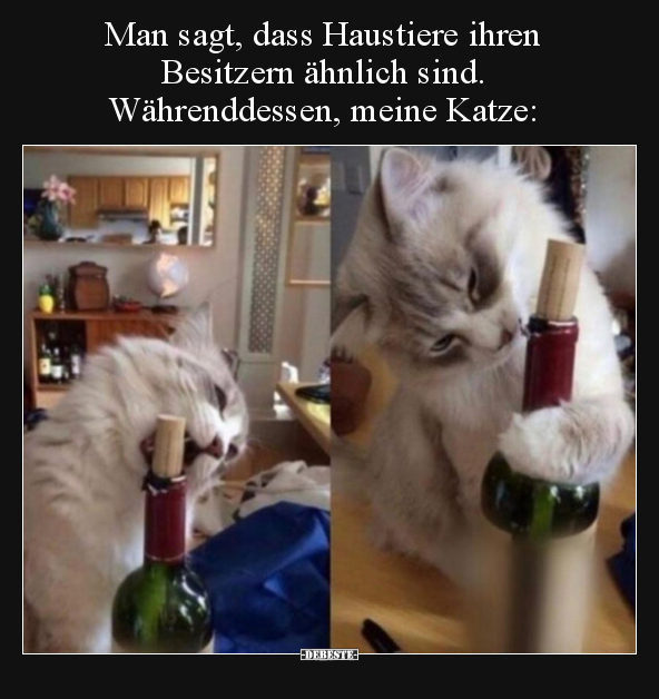 Man sagt, dass Haustiere ihren Besitzern ähnlich sind... - Lustige Bilder | DEBESTE.de