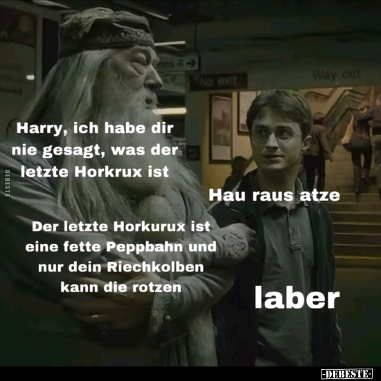 Harry, ich habe dir nie gesagt, was der letzte Horkrux ist.. - Lustige Bilder | DEBESTE.de