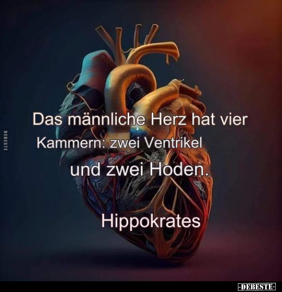 Das männliche Herz hat vier Kammern.. - Lustige Bilder | DEBESTE.de