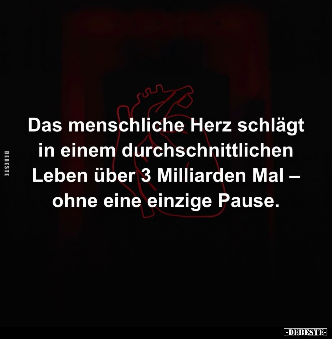 Das menschliche Herz schlägt in einem durchschnittlichen Leben über 3 Milliarden Mal - ohne eine einzige Pause.