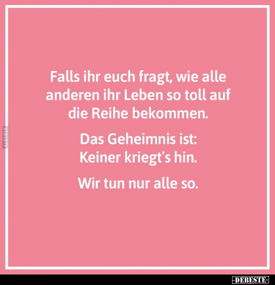 Falls ihr euch fragt, wie alle anderen ihr Leben.. - Lustige Bilder | DEBESTE.de