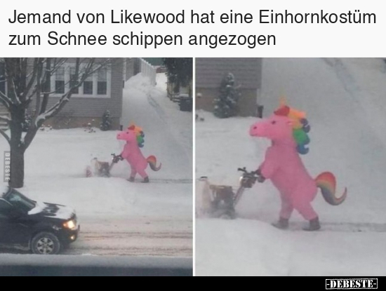 Jemand von Likewood hat eine Einhornkostüm zum Schnee.. - Lustige Bilder | DEBESTE.de