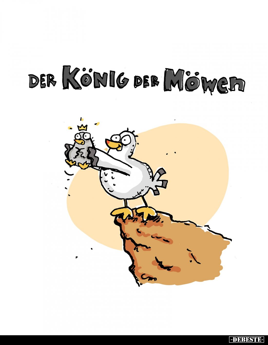 Der König der Möwen.