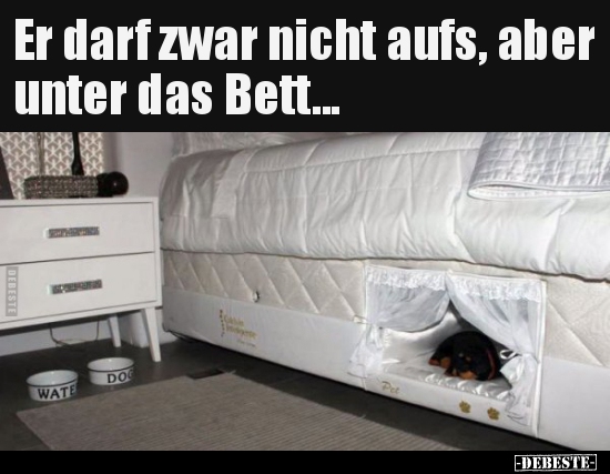 Er darf zwar nicht aufs, aber unter das Bett...