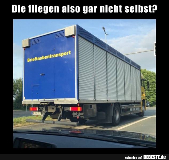 Die fliegen also nicht selbst?