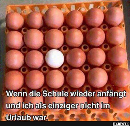 Wenn die Schule wiedder anfängt und ich als einziger nicht im Urlaub war..