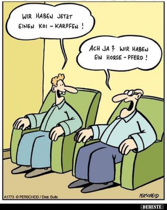 Wir haben jetzt einen Koi-Karpfen!..