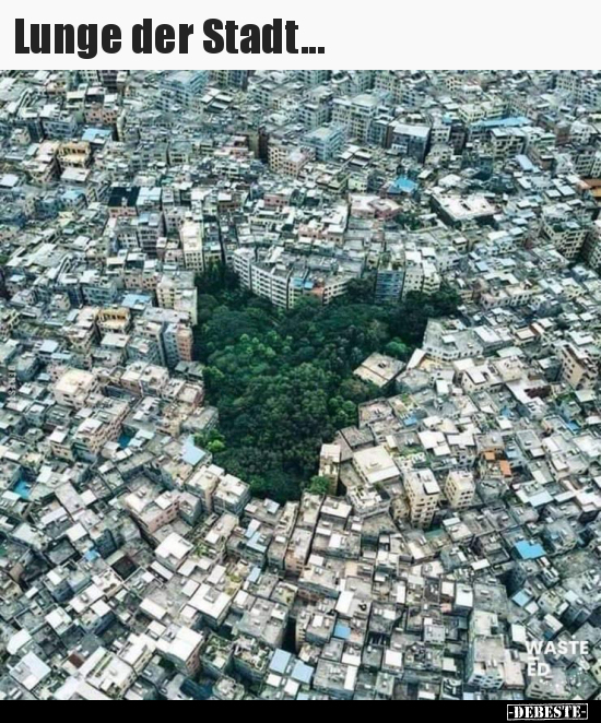 Lunge der Stadt...
